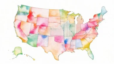 ABD'de sektörlere göre Türklerin maaş haritası ve kazanç verileri.